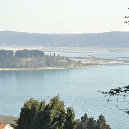 Bbp * Portorož